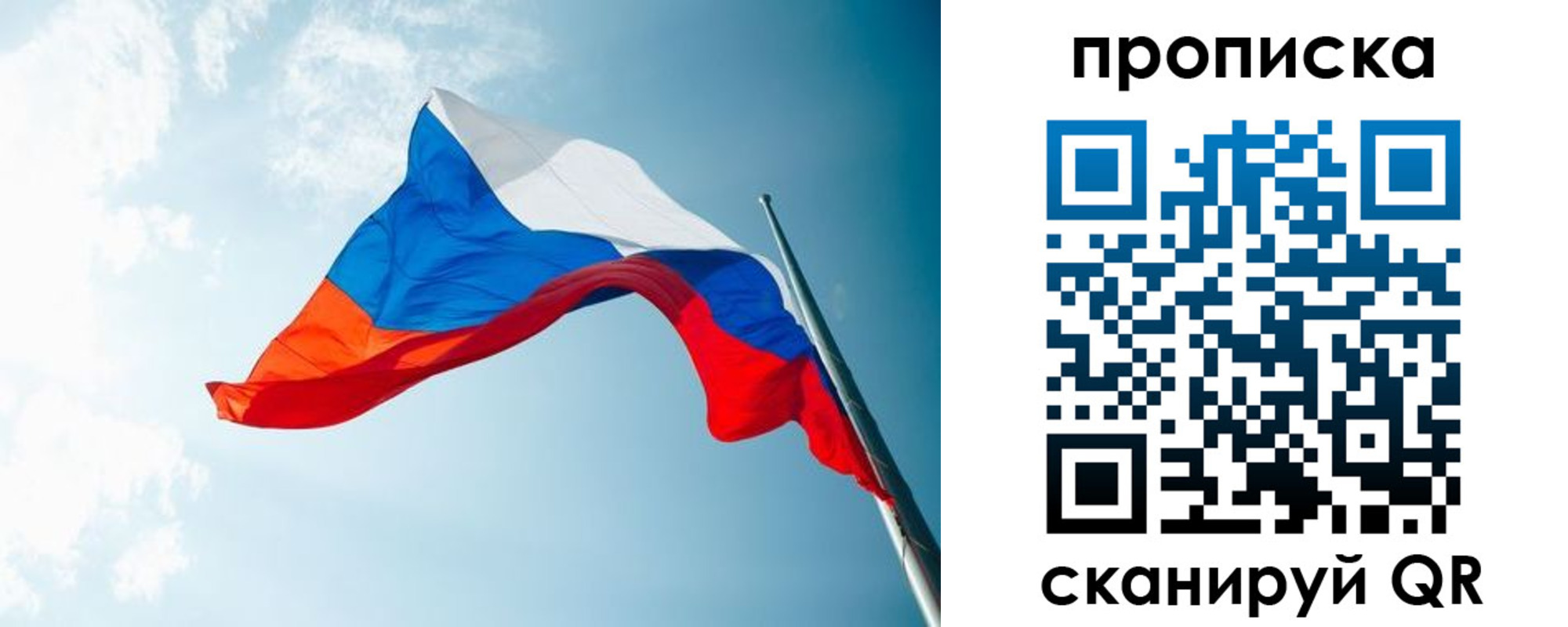 найти адрес прописки в Димитровграде